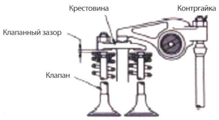 29dvijok1.jpg
