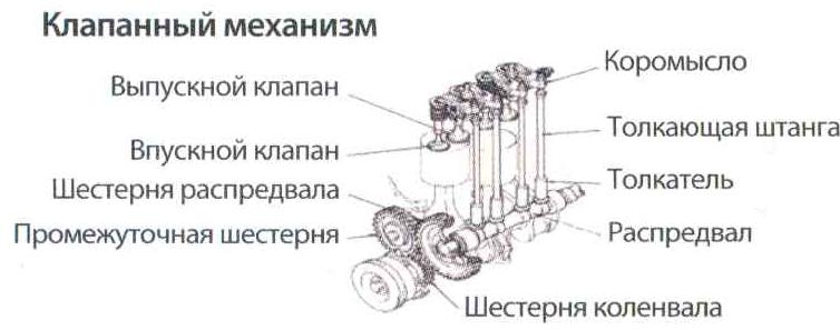 29dvijok2.jpg
