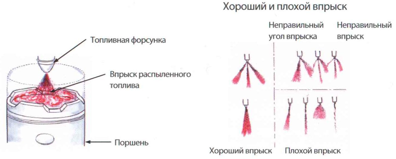 29dvijok3.jpg